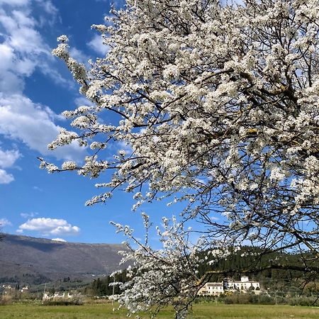Accanto A Firenze Прато Екстериор снимка