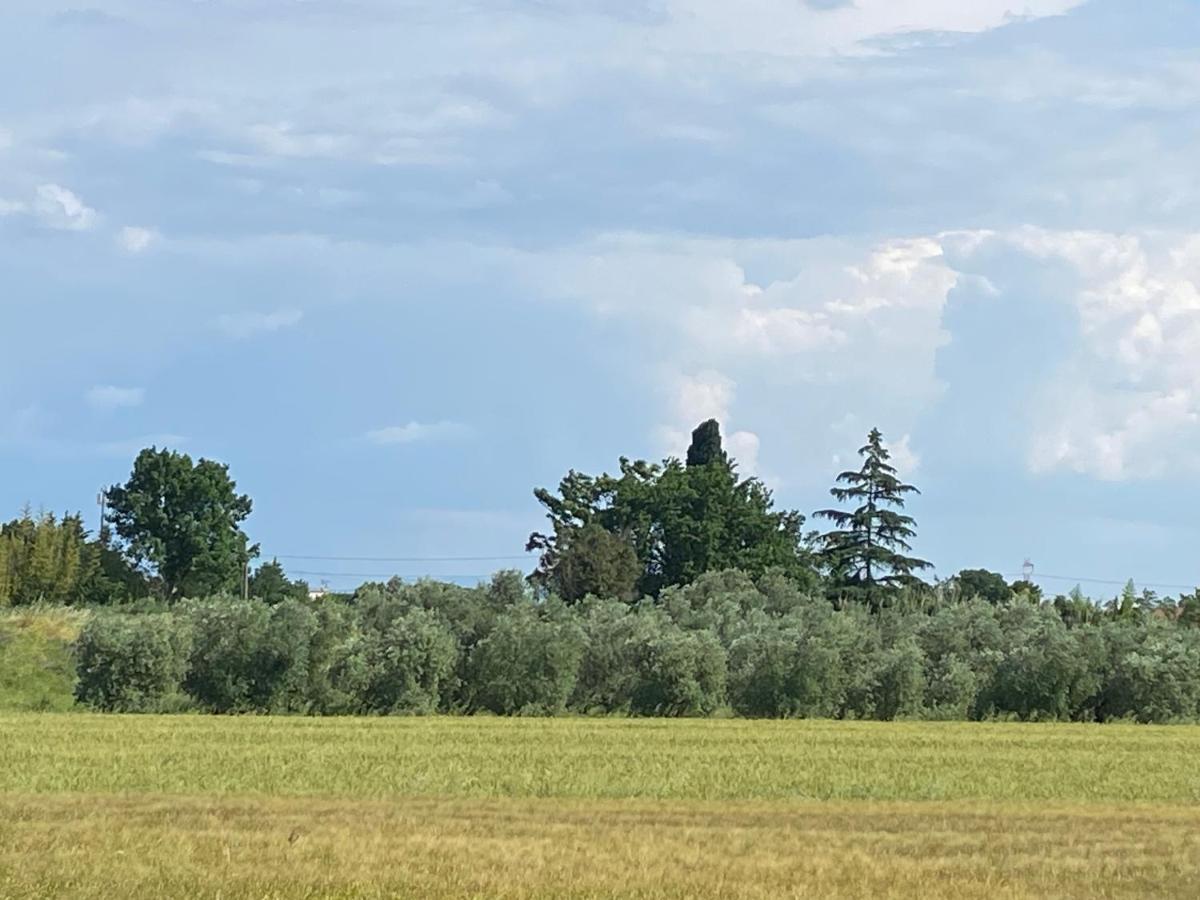 Accanto A Firenze Прато Екстериор снимка