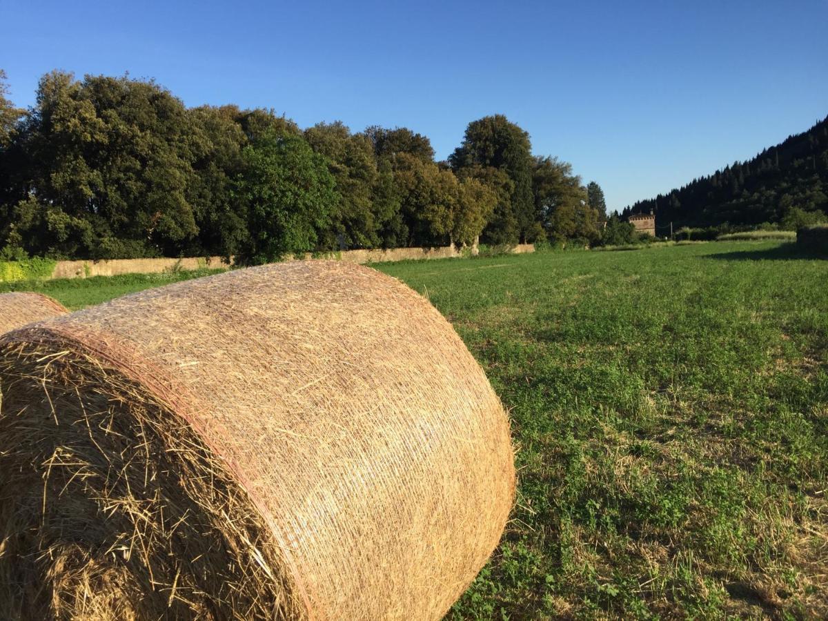 Accanto A Firenze Прато Екстериор снимка