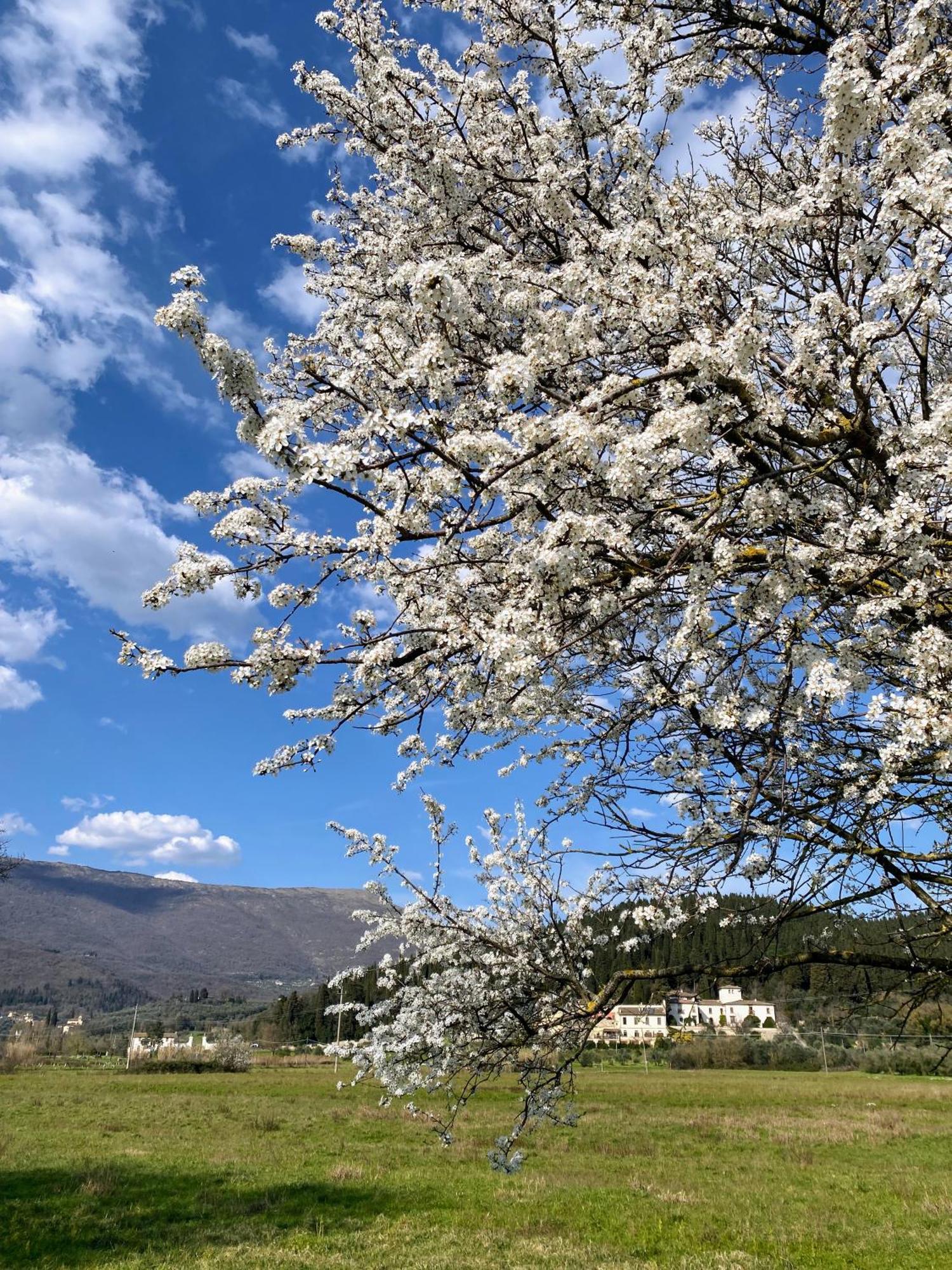 Accanto A Firenze Прато Екстериор снимка